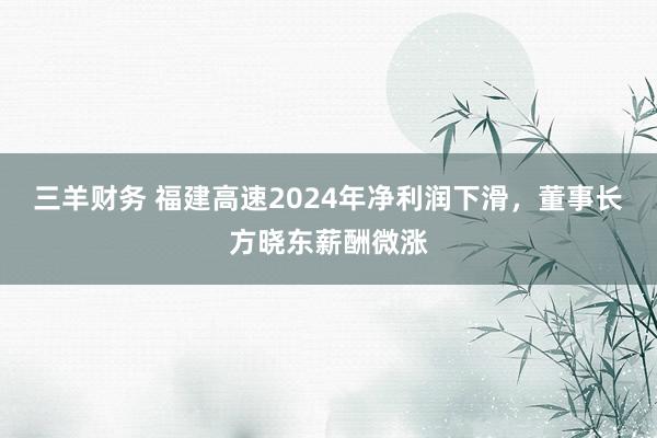 三羊财务 福建高速2024年净利润下滑，董事长方晓东薪酬微涨