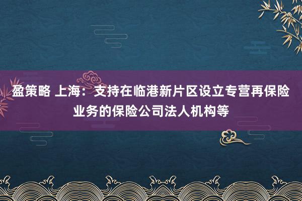 盈策略 上海：支持在临港新片区设立专营再保险业务的保险公司法人机构等