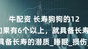 牛配资 长寿狗狗的12个特征，如果有6个以上，就具备长寿的潜质_睡眠_损伤_血统