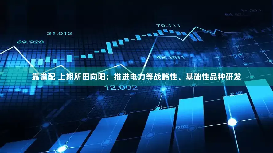 靠谱配 上期所田向阳：推进电力等战略性、基础性品种研发